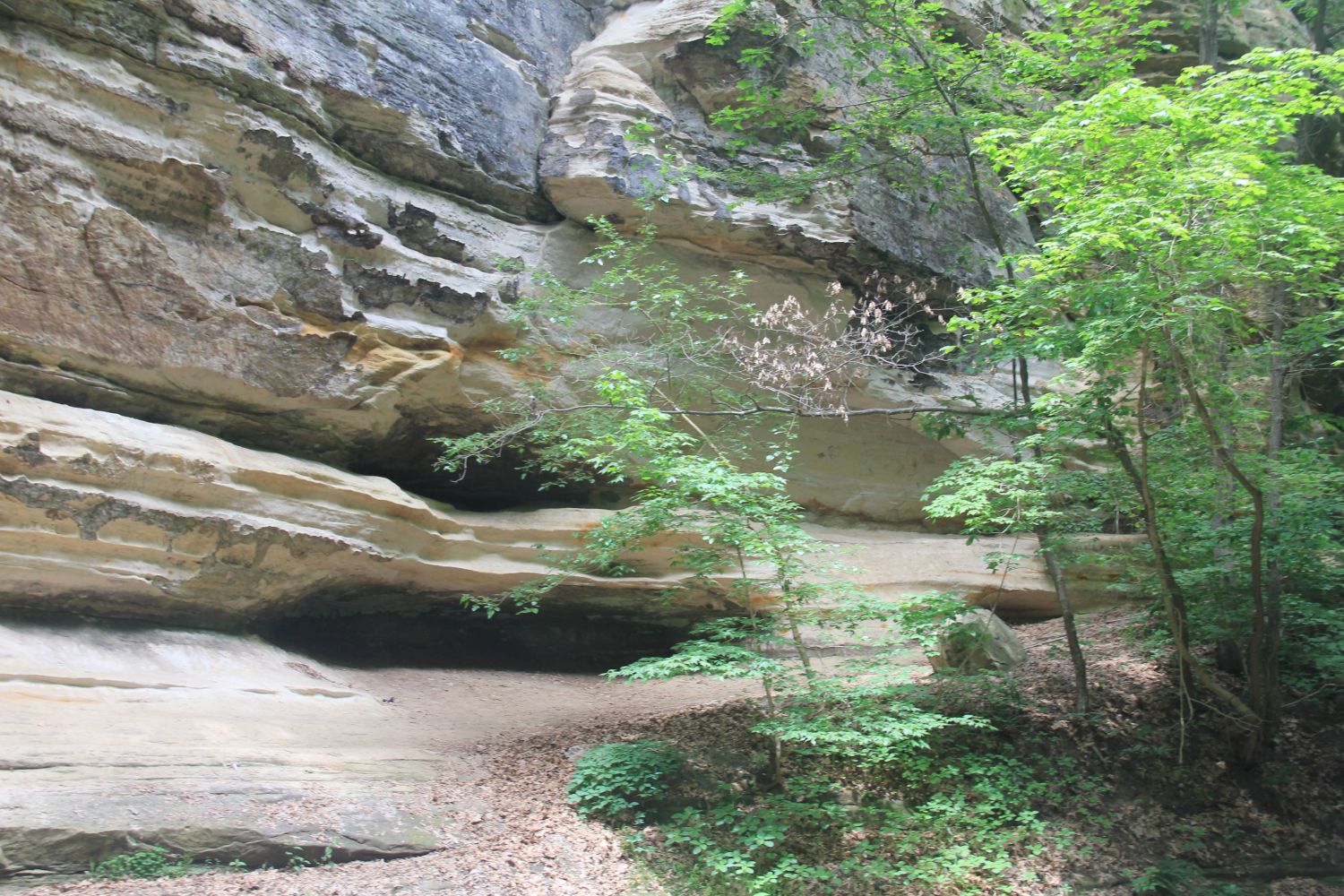 Starved Rock 